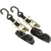 Bikemaster 1" Rachet Tiedowns 1 Bikemaster 1" Rachet Tiedowns -Bikemaster 310 0524